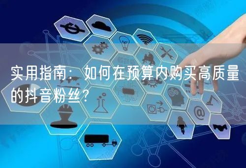 实用指南：如何在预算内购买高质量的抖音粉丝？