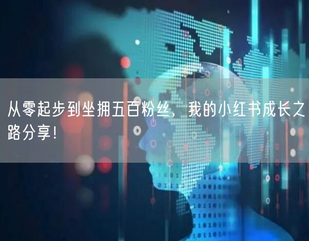 从零起步到坐拥五百粉丝，我的小红书成长之路分享！