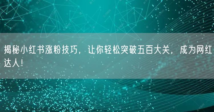 揭秘小红书涨粉技巧，让你轻松突破五百大关，成为网红达人！