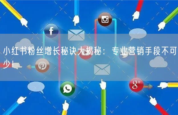 小红书粉丝增长秘诀大揭秘：专业营销手段不可少！