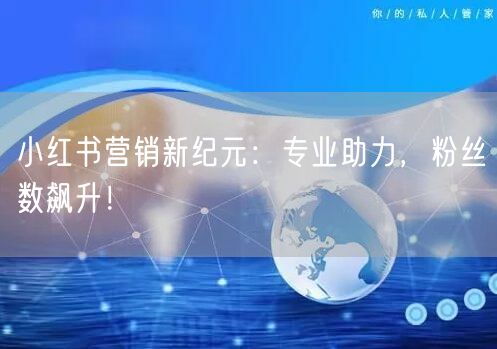 小红书营销新纪元：专业助力，粉丝数飙升！