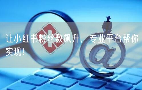 让小红书粉丝数飙升，专业平台帮你实现！