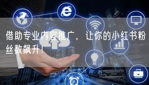 借助专业内容推广，让你的小红书粉丝数飙升！