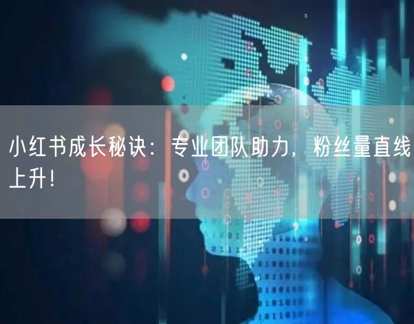 小红书成长秘诀：专业团队助力，粉丝量直线上升！