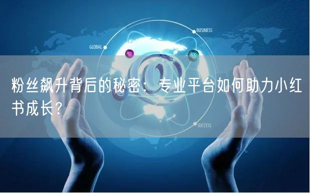 粉丝飙升背后的秘密：专业平台如何助力小红书成长？