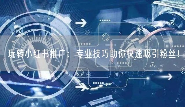 玩转小红书推广：专业技巧助你快速吸引粉丝！