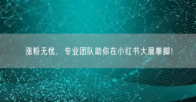 涨粉无忧，专业团队助你在小红书大展拳脚！