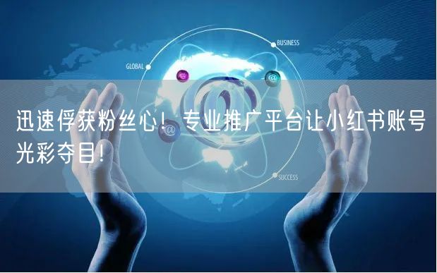 迅速俘获粉丝心！专业推广平台让小红书账号光彩夺目！