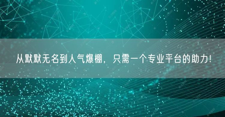 从默默无名到人气爆棚，只需一个专业平台的助力！