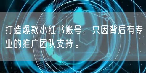 打造爆款小红书账号，只因背后有专业的推广团队支持。