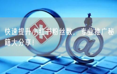 快速提升小红书粉丝数，专业推广秘籍大分享！