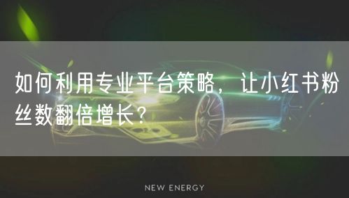 如何利用专业平台策略，让小红书粉丝数翻倍增长？