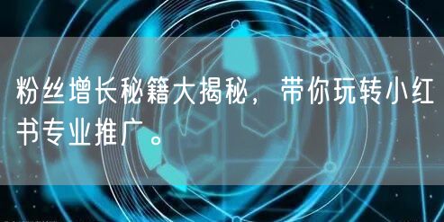 粉丝增长秘籍大揭秘，带你玩转小红书专业推广。