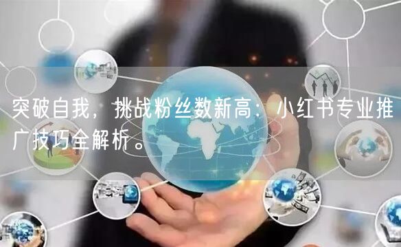 突破自我，挑战粉丝数新高：小红书专业推广技巧全解析。