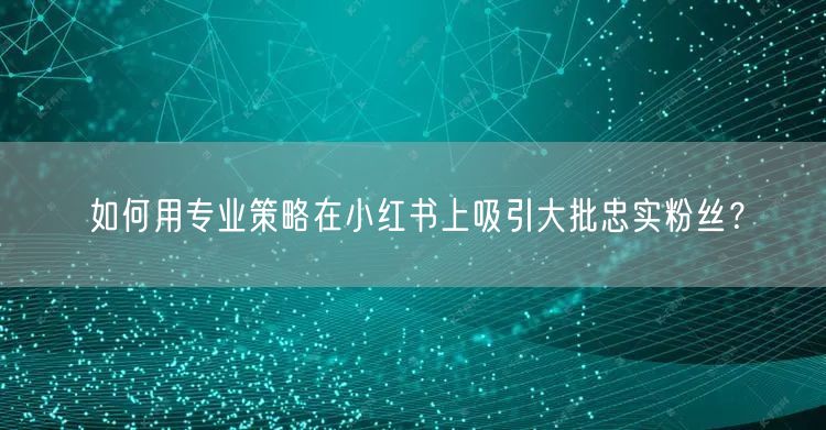 如何用专业策略在小红书上吸引大批忠实粉丝？