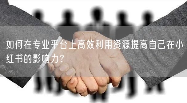 如何在专业平台上高效利用资源提高自己在小红书的影响力？