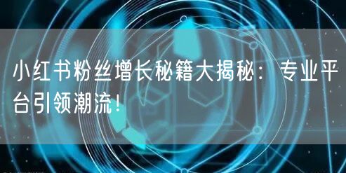 小红书粉丝增长秘籍大揭秘：专业平台引领潮流！