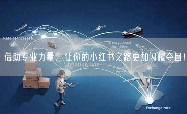 借助专业力量，让你的小红书之路更加闪耀夺目！