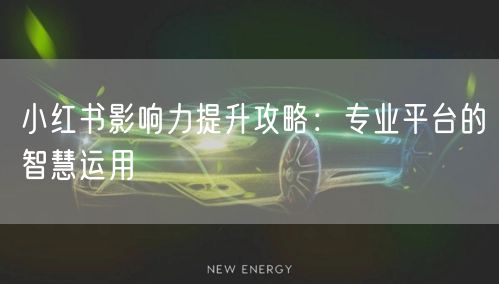 小红书影响力提升攻略：专业平台的智慧运用