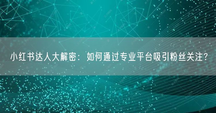 小红书达人大解密：如何通过专业平台吸引粉丝关注？