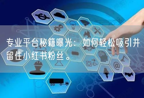 专业平台秘籍曝光：如何轻松吸引并留住小红书粉丝。