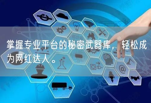 掌握专业平台的秘密武器库，轻松成为网红达人。