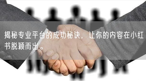 揭秘专业平台的成功秘诀，让你的内容在小红书脱颖而出。
