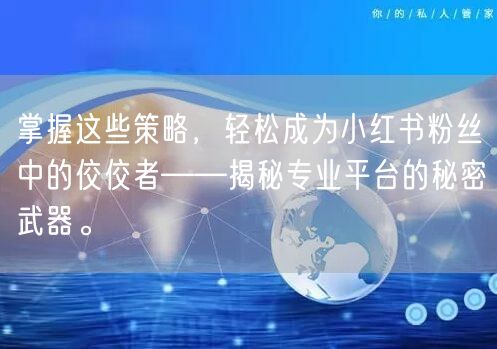 掌握这些策略，轻松成为小红书粉丝中的佼佼者——揭秘专业平台的秘密武器。
