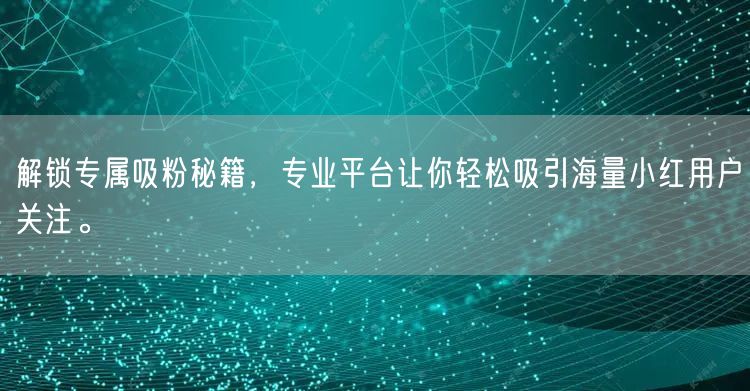 解锁专属吸粉秘籍，专业平台让你轻松吸引海量小红用户关注。
