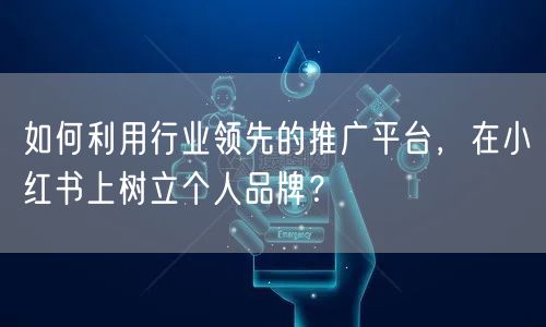如何利用行业领先的推广平台，在小红书上树立个人品牌？