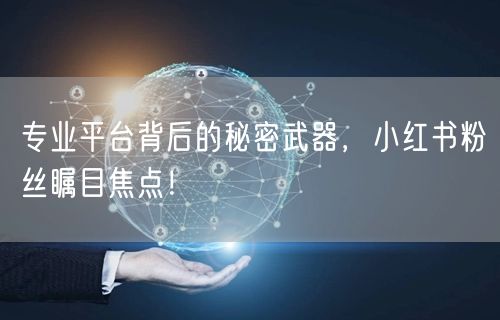专业平台背后的秘密武器，小红书粉丝瞩目焦点！
