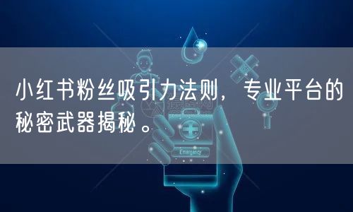 小红书粉丝吸引力法则，专业平台的秘密武器揭秘。