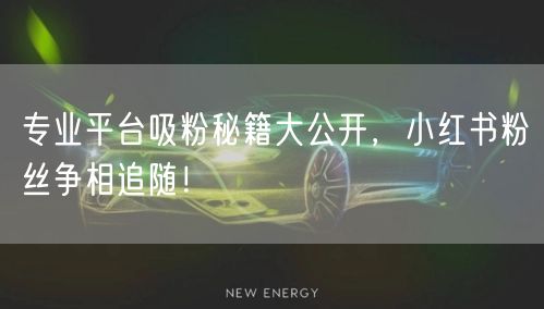 专业平台吸粉秘籍大公开，小红书粉丝争相追随！
