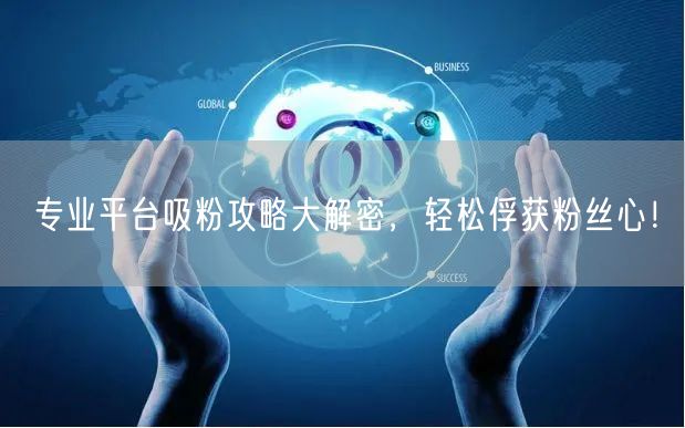 专业平台吸粉攻略大解密，轻松俘获粉丝心！