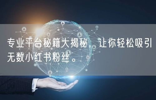 专业平台秘籍大揭秘，让你轻松吸引无数小红书粉丝。