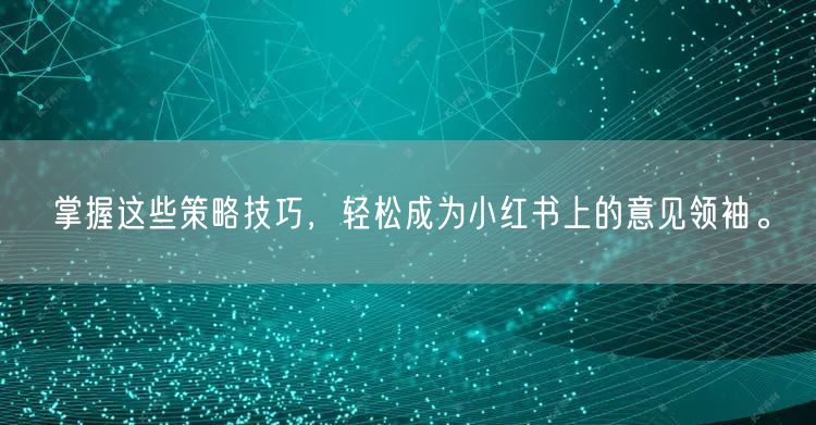 掌握这些策略技巧，轻松成为小红书上的意见领袖。