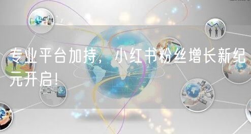 专业平台加持，小红书粉丝增长新纪元开启！