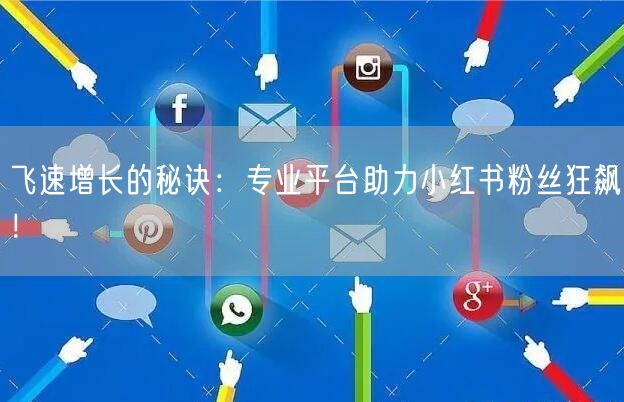 飞速增长的秘诀：专业平台助力小红书粉丝狂飙！