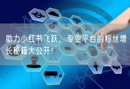 助力小红书飞跃，专业平台的粉丝增长秘籍大公开！
