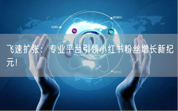 飞速扩张：专业平台引领小红书粉丝增长新纪元！
