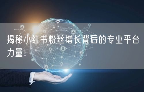 揭秘小红书粉丝增长背后的专业平台力量！