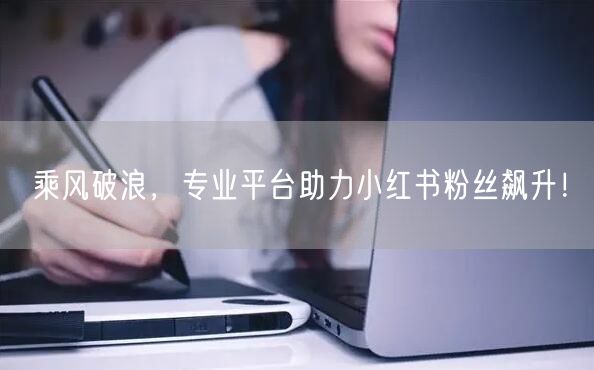 乘风破浪，专业平台助力小红书粉丝飙升！