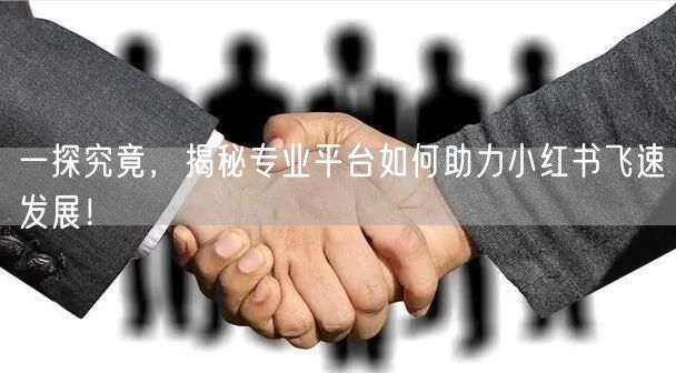 一探究竟，揭秘专业平台如何助力小红书飞速发展！