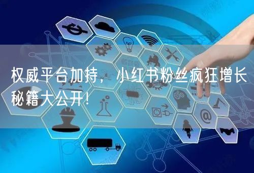 权威平台加持，小红书粉丝疯狂增长秘籍大公开！