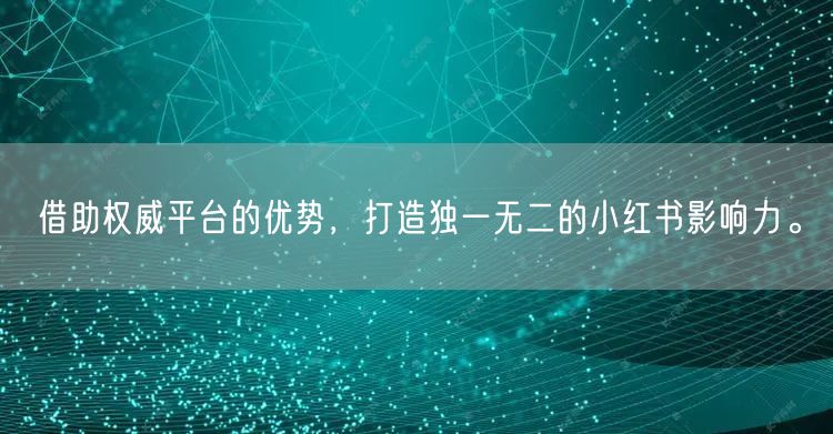 借助权威平台的优势，打造独一无二的小红书影响力。