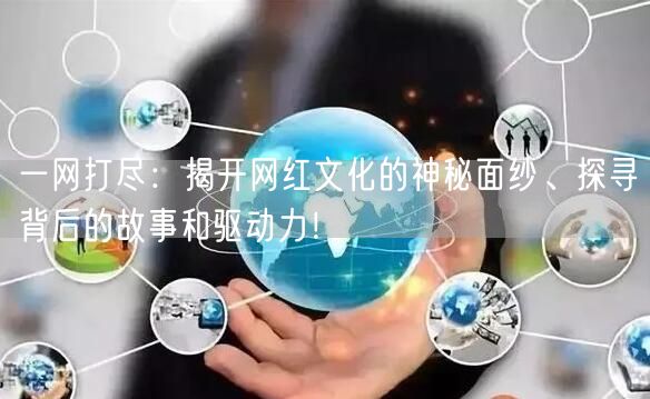 一网打尽：揭开网红文化的神秘面纱、探寻背后的故事和驱动力！