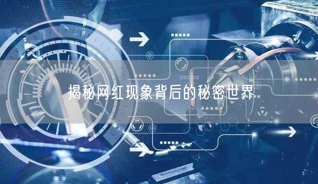 揭秘网红现象背后的秘密世界