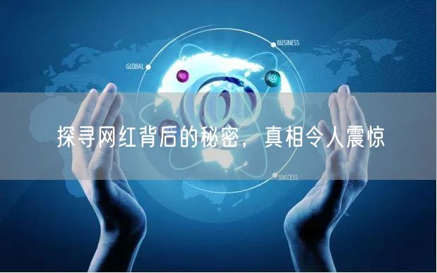 探寻网红背后的秘密，真相令人震惊