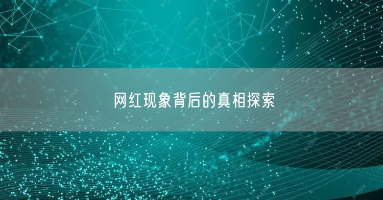 网红现象背后的真相探索