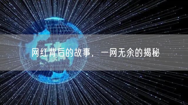 网红背后的故事，一网无余的揭秘